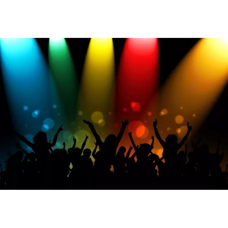 Φορητό ηχείο APA24 Bluetooth Karaoke, μαύρο