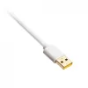 Σπιράλ καλώδιο USB Ducky White Edition DACOC2-WHT1, αποσπώμενο, λευκό σπιράλ σχέδιο
