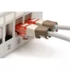 Χρωματιστά κλιπ DIGITUS A-CC-BR για καλώδια patch, καφέ, 100 τεμ.