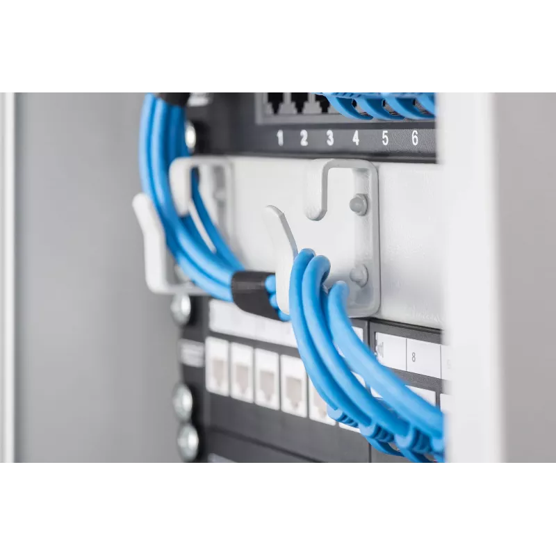 Πάνελ διαχείρισης καλωδίων Digitus DN-10 ORG-1U