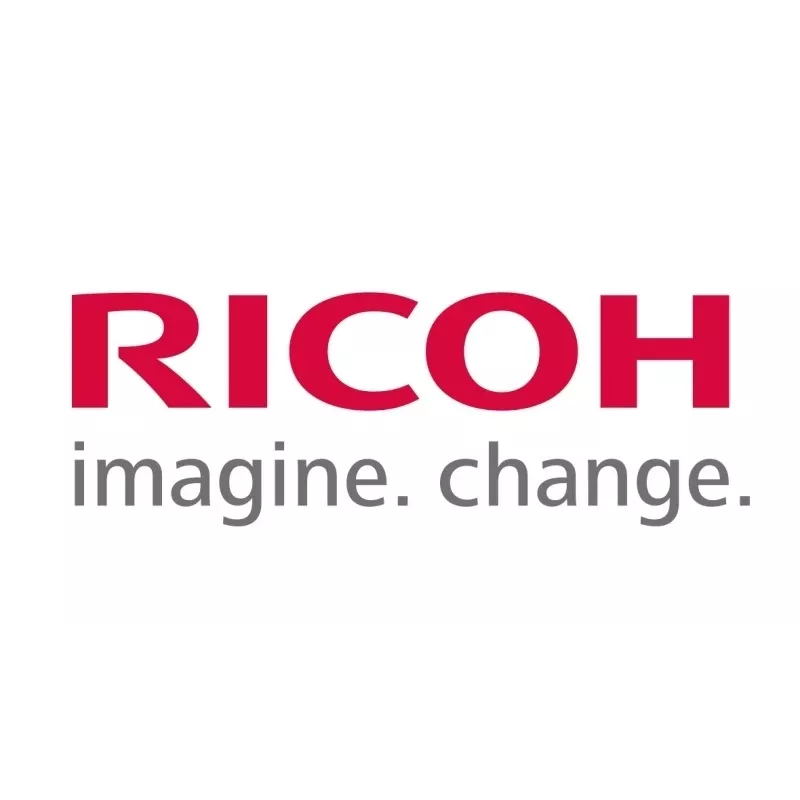 Ricoh B1219645 (B121-9645) Black Developer (SPEC)