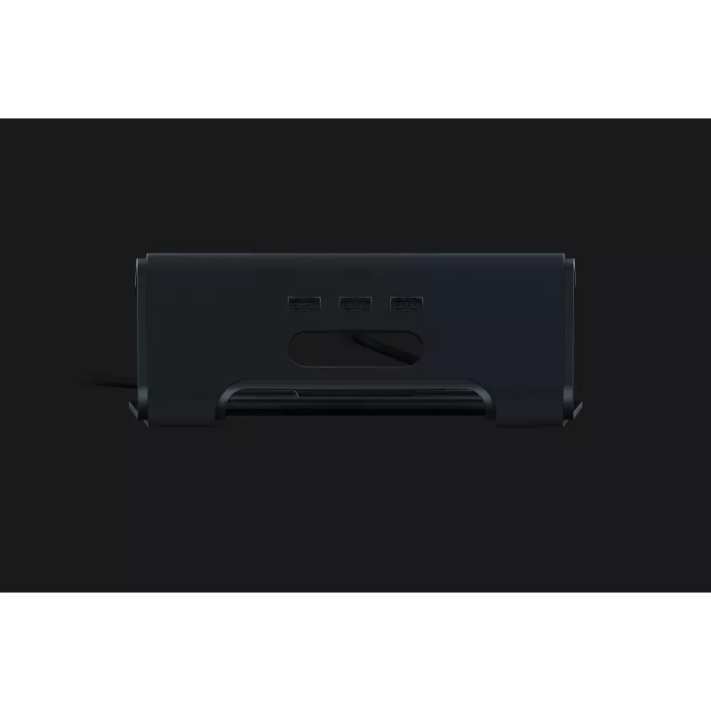 Βάση φορητού υπολογιστή Razer RC21-01110200-R3M1 μαύρο 38,1 cm (15 ίντσες)