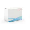 Xerox Transfer Roller, WorkCentre 7525/7530/7535/7545/7556, 1 τεμ.
