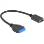 DeLOCK καλώδιο USB αρσενικό βύσμα-υποδοχή θηλυκή σε εσωτερικό USB Type-E Key A 25 cm
