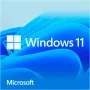 Windows 11 Home, λογισμικό λειτουργικού συστήματος 64-bit, γερμανικά, USB flash drive