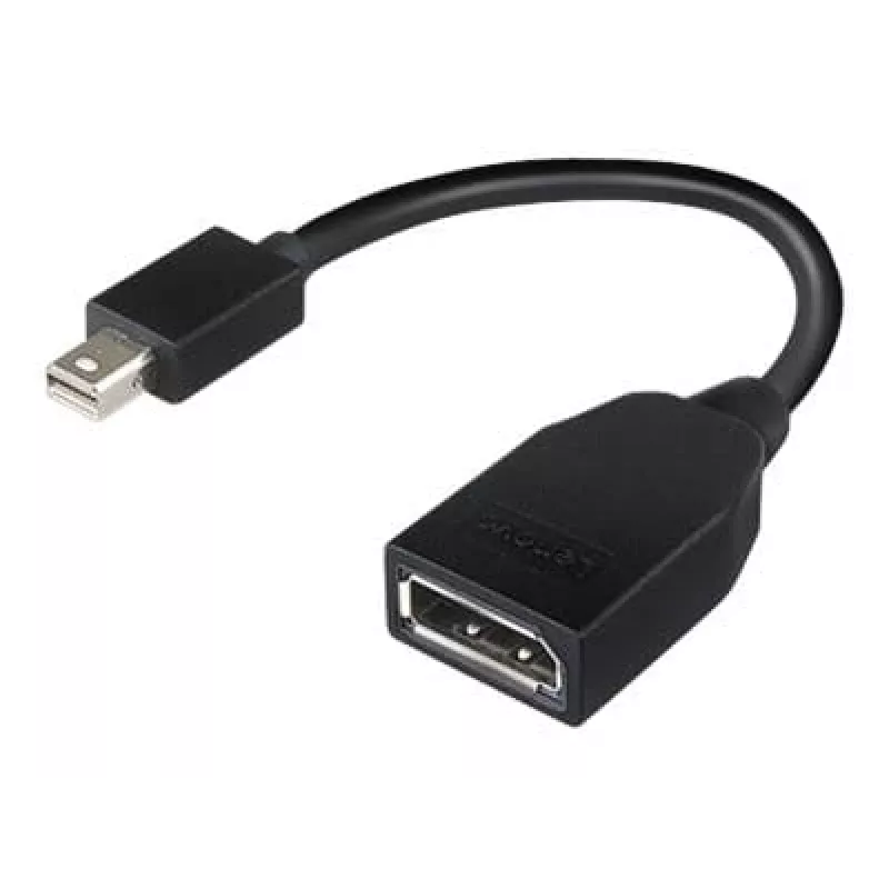 Lenovo 4X90L13971 καλώδιο DisplayPort Mini DisplayPort μαύρο