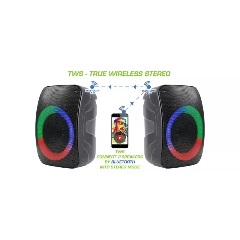 Ηχείο Bluetooth Rebelt ec STAGE 300