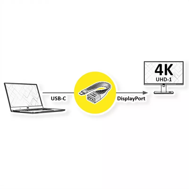 ROTRONIC-SECOMP Roline - καλώδιο προσαρμογέα - USB-C (M) σε DisplayPort (W)