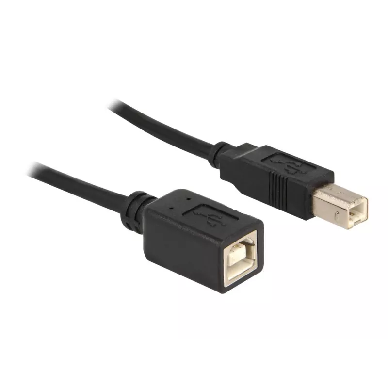 Καλώδιο USB DeLOCK USB2.0-B 2m USB B μαύρο