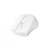 Ποντίκι DICOTA D31659W RF Wireless USB Type-C