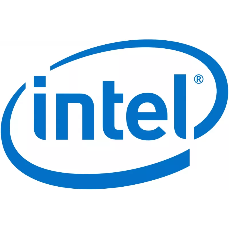 Intel Remote Management Module 4 Lite 2 - Προσαρμογέας απομακρυσμένης διαχείρισης (AXXRMM4LITE2)