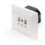 DIGITUS DA-70618 - έξοδος USB - USB, USB Type C - 2 θύρες USB, 1 υποδοχή USB-C - 3,1 A - RAL 9003, λευκό σήματος