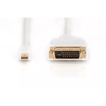 Καλώδιο DisplayPort 1.1a Mini DP-DVI Type A αρσενικό-αρσενικό 2,0m