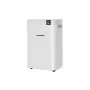 Αφυγραντήρας BLAUPUNKT ADH801 — 20 L/ημέρα (έως 36 L/24h), δοχείο 4,2 L, 600 W, R290, ένδειξη LED