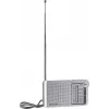 Panasonic RF-P150DEG φορητό αναλογικό ραδιόφωνο ασημί