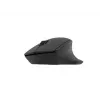 Natec Ασύρματο ποντίκι Siskin 2 BT 5.0 + 2.4GHZ
