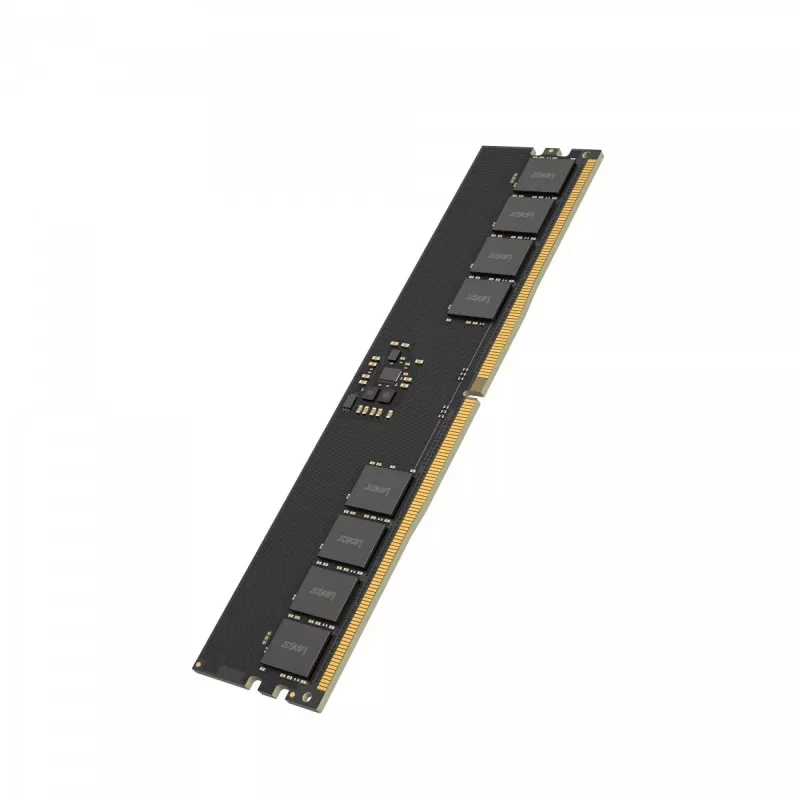 Lexar DDR5 - Μονάδα - 32 GB - DIMM 288-PIN - 5600 MT/s / PC5-44800