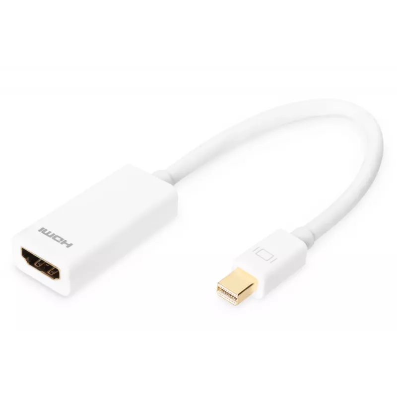 Προσαρμογέας DisplayPort Digitus AK-340404-001-W