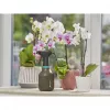 Ψεκαστήρας χειρός Gardena 11110-20 0,75 L μαύρο