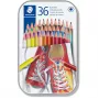 Ξυλομπογιές Staedtler 175 Multicolour 36 τεμ.