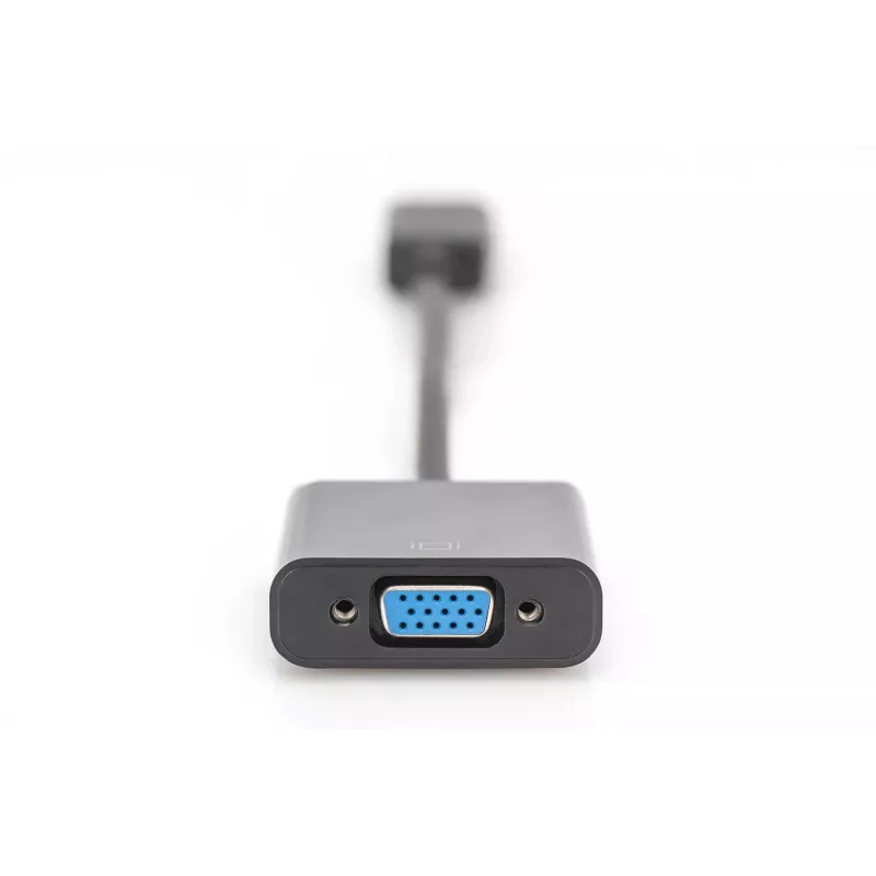 Digitus DisplayPort Adapter / Μετατροπέας