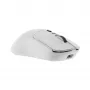 Ποντίκι White Shark GM-9010 MAXIMUS λευκό USB