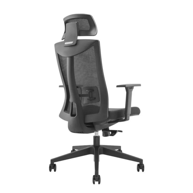 Εργονομική καρέκλα premium Ergo Officer ER-414