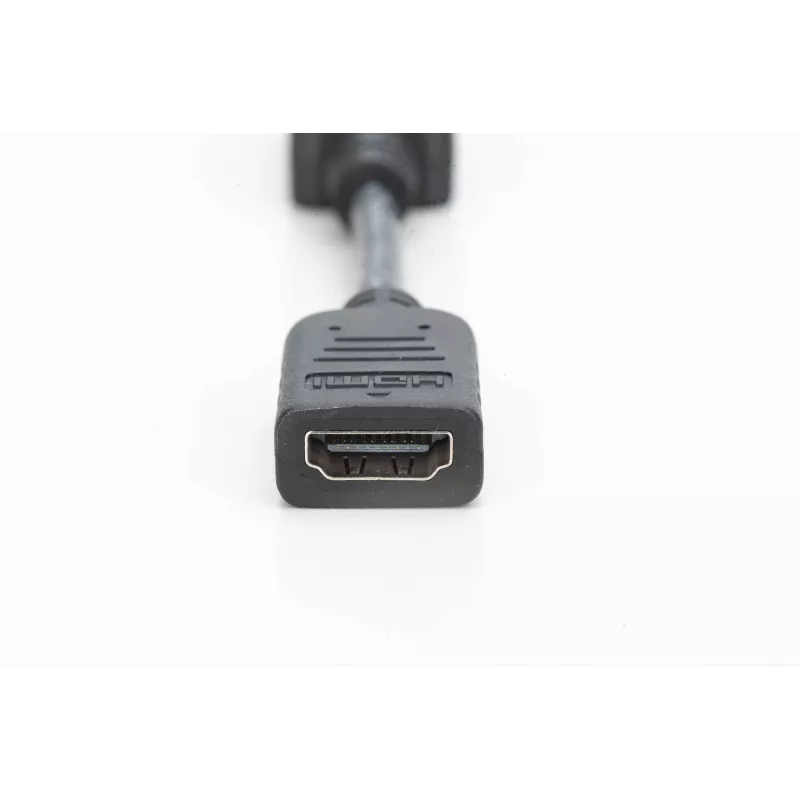 Digitus Προσαρμογέας / Μετατροπέας DisplayPort