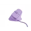 Ποντίκι NATEC Crake 2 Pro Universal Δεξιόχειρες USB Type-A Οπτικό 12800 DPI