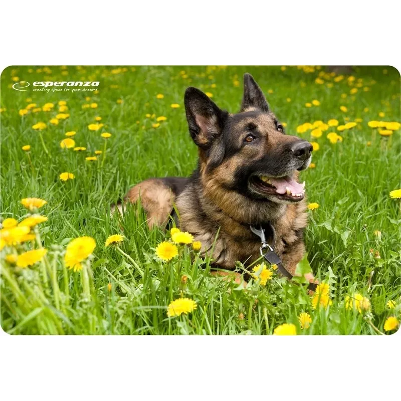Esperanza EA133 Mousepad Πολύχρωμο