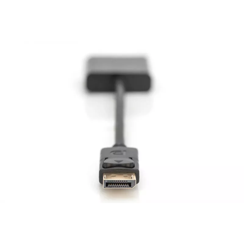 Digitus DisplayPort Adapter / Μετατροπέας