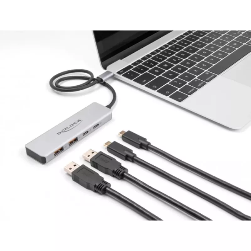 DeLOCK USB Hub USB Type-C 10 Gbit/s 2x Type-A 2x Type-C 35 cm Καλώδιο