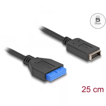 DeLOCK καλώδιο USB αρσενικό βύσμα-υποδοχή θηλυκή σε εσωτερικό USB Type-E Key A 25 cm
