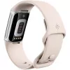 Fitbit GA05185-EU Προϊόν Ασημί