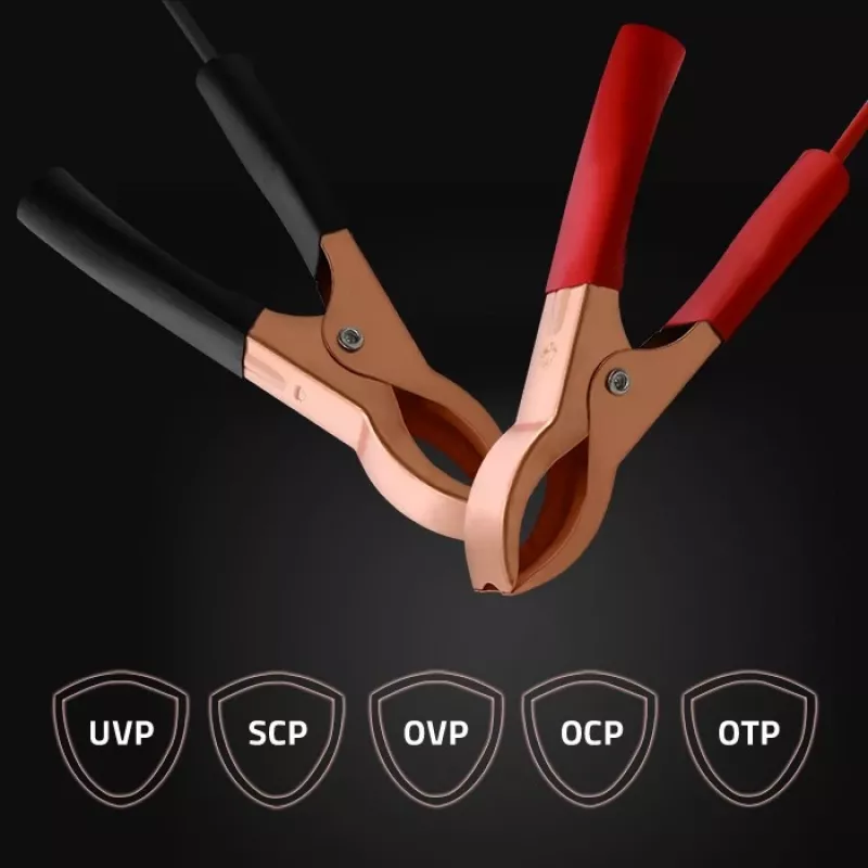 Φορτιστής μπαταρίας QOLTEC 52492 12V 2A με μικροεπεξεργαστή και αναγέννηση κυψελών