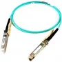 Καλώδιο InfiniBand/οπτικής ίνας Cisco SFP-25G-AOC10M= 10 m SFP28 βύσμα αρσενικό/βύσμα αρσενικό