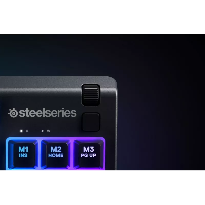 Steelseries APEX 3 TKL Πληκτρολόγιο USB QWERTY US English μαύρο