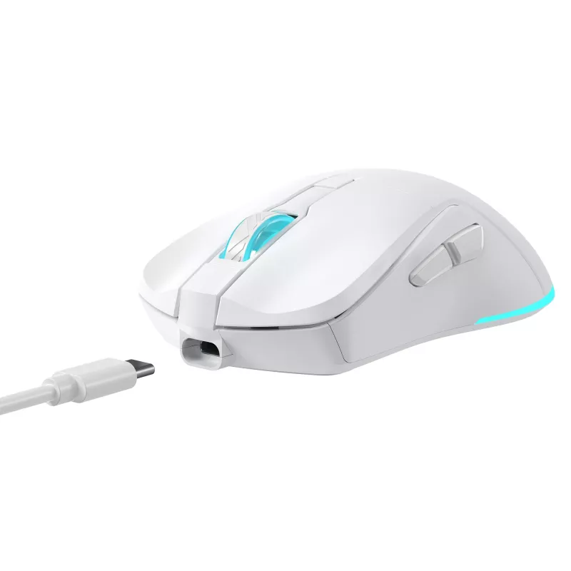 Ποντίκι Baracuda BGM-122 Turtle λευκό TURTLE-W