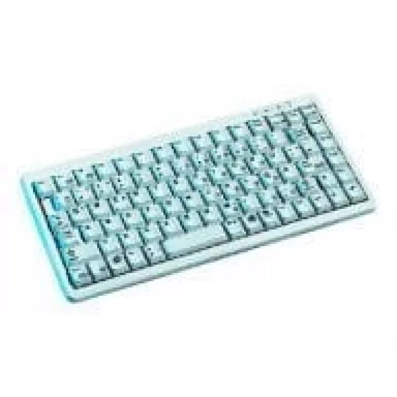 CHERRY Compact G84-4100, ανοιχτό γκρι, πληκτρολόγιο CH USB + PS/2