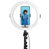 Agfa Arl11xl Ring Light LED Ring 11 ιντσών + τρίποδο + τηλεχειριστήριο