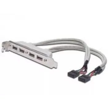 Καλώδιο slotblech USB 2.0 HighSpeed Type 2xIDC (5pin)/4xUSB A M/F γκρι 0,25 m