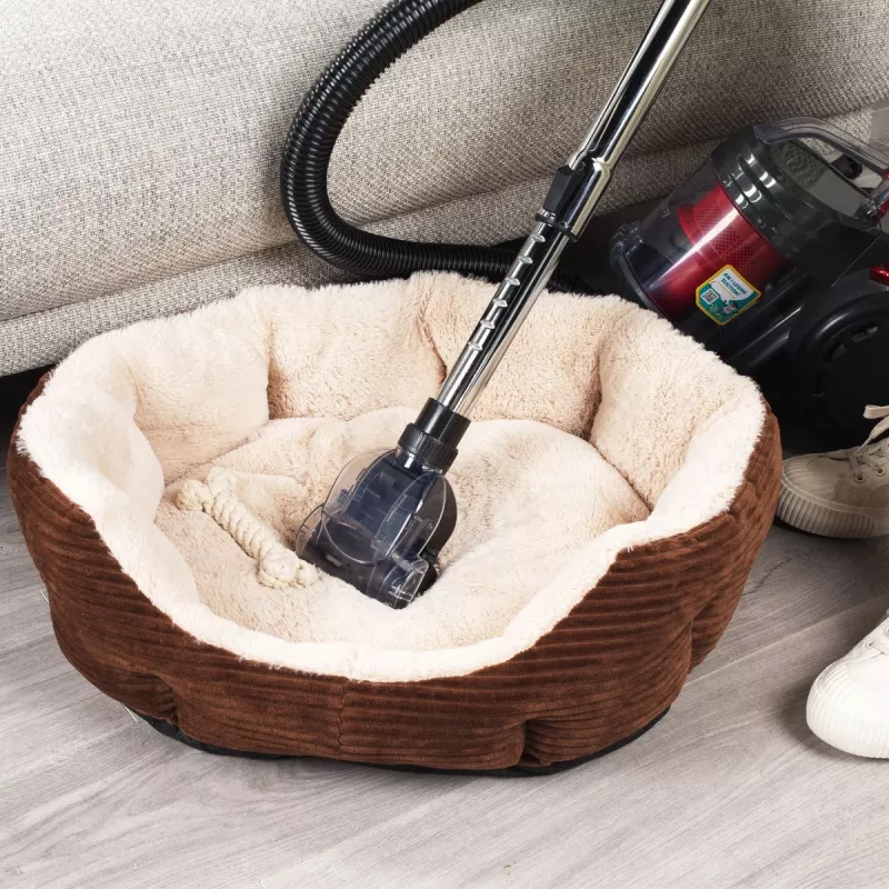 Ηλεκτρική σκούπα Beldray BEL0700TBVDE Compact Pet Plus