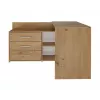 Γωνιακό γραφείο υπολογιστή Top e Shop DANY ARTISAN KPL, σχήματος L, μοριοσανίδα, χρώμα δρυς
