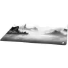 Mousepad Sharkoon SKILLER SGP40 D9