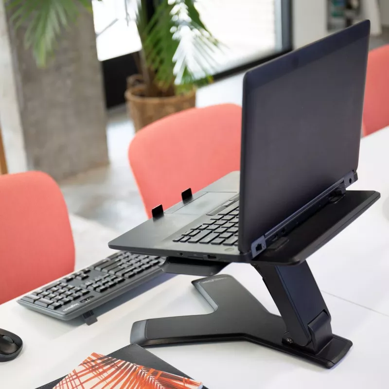 Βάση φορητού υπολογιστή Ergotron Neo-Flex™ Notebook Lift Stand μαύρη