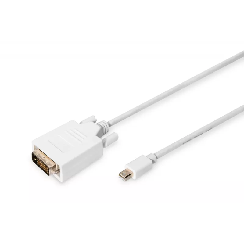 DIGITUS ASSMANN - καλώδιο προσαρμογέα - Mini DisplayPort (M)