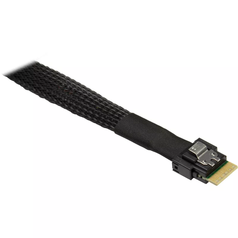 INTER-TECH καλώδιο SFF-8654 σε SFF-8643 70 cm, εσωτερική σύνδεση SAS (MPN 88885663)