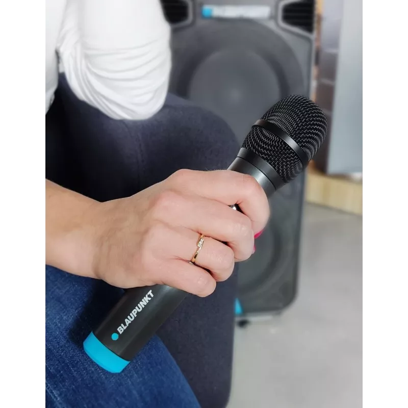 Μικρόφωνο Blaupunkt WM60UDB