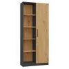 Προσθήκη βιβλιοθήκης Topeshop RD-80 ANT/ART KPL, 10 ράφια, μοριοσανίδα, 800×300×1820 mm