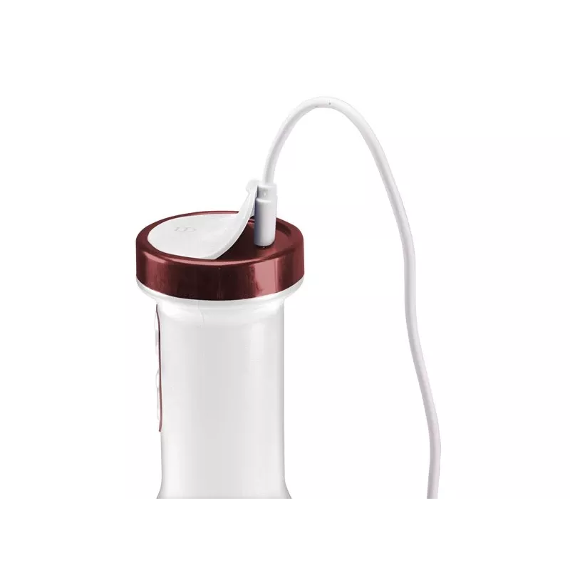 Μπλέντερ Beper P102FRU300